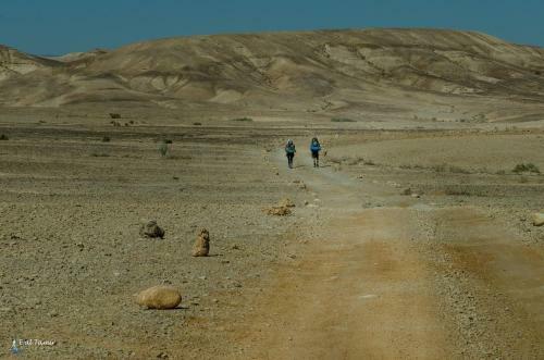 Desert Picture