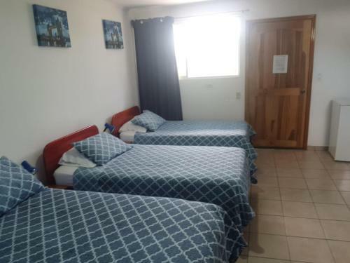 Hotel Grosseto Palma Real