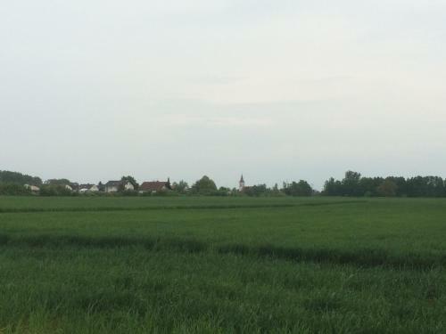 Apartamentos Alte Heimat