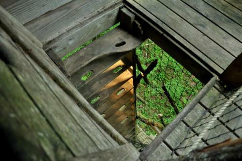Agroturismo L'arbre � Cabane