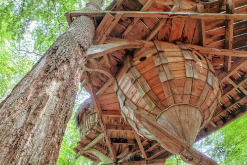 Agroturismo L'arbre � Cabane