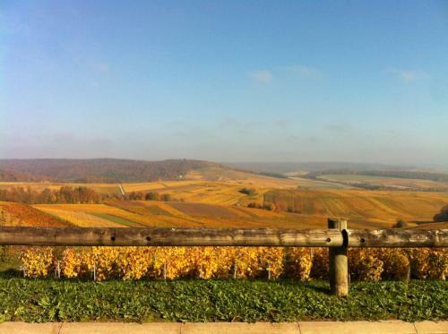 Bed & Breakfast Manoir De Montflambert