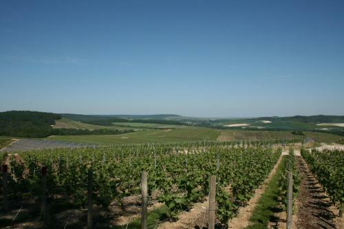 Bed & Breakfast Manoir De Montflambert