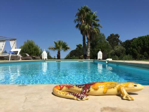 Bed & Breakfast Escapades Lointaines