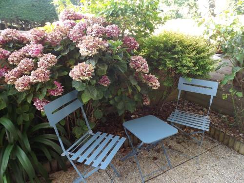 Apartamento Saint Martin Appart Centre Ville Paimpol