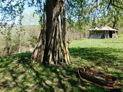 Albergue Kinchkha Wood House