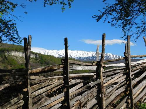 Albergue Kinchkha Wood House