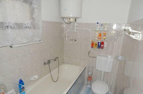 Bolt�ves Vend�gh�z