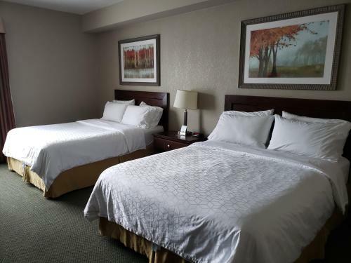 Hotel Holiday Inn Express Dryden