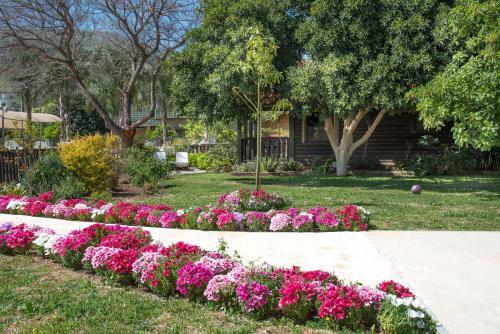 Hotel Song Of Galilee