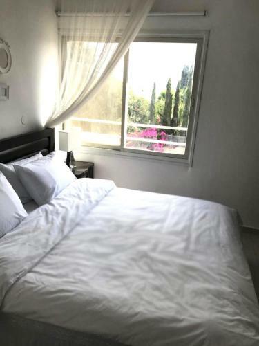 Apartamento 3 Rooms + Parking Hameyasdim 36