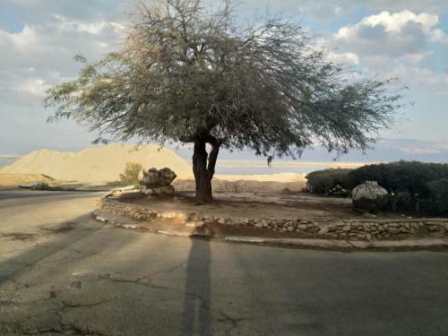 Lodge Carmit's Dead Sea Place
