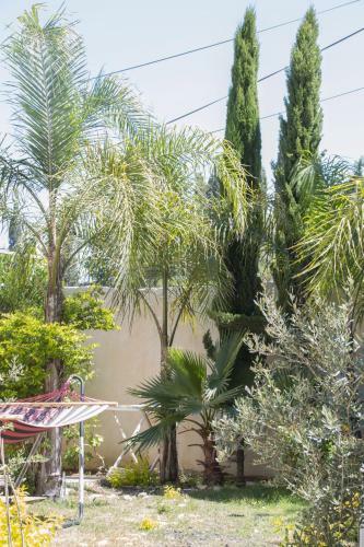 Lodge Sawsan's Suites