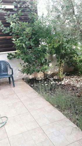 Lodge Sawsan's Suites