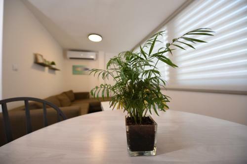 Apartamento Oren's Place