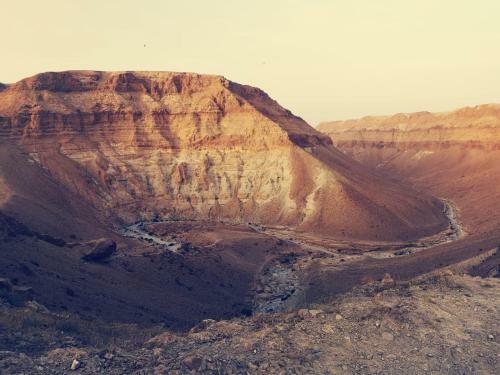 Hostal Dead Sea Desert's Edge
