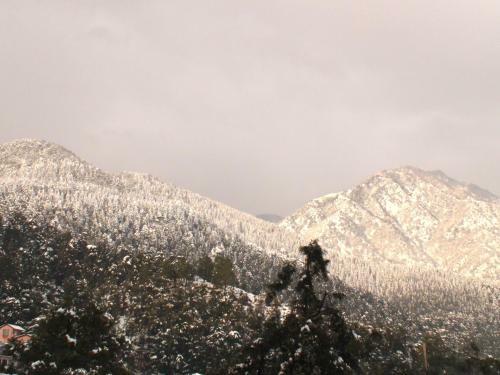 Hotel Victoriya Palace