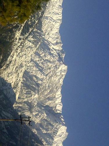 Hotel Centre Point Resorts & Club Palampur