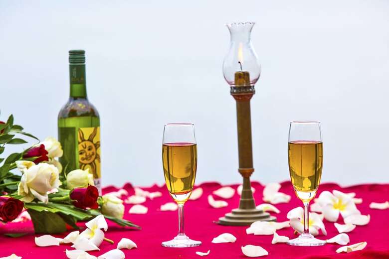 Hotel Jaisamand Island Resort