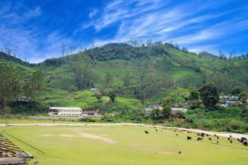 Hotel Casa Montana Munnar