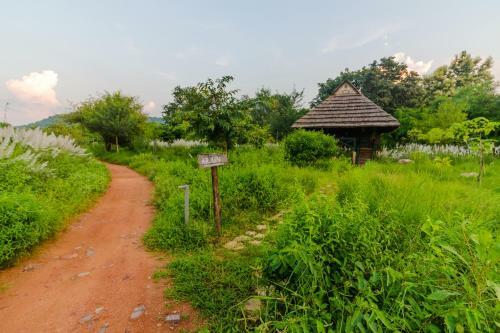 Hotel Tendu Leaf Jungle Resort
