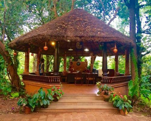 Hotel Wild Woods Resort