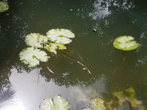 Agroturismo Pranavam Munroe Verdure