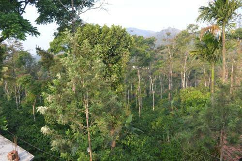 Aclat Meadows, Sakleshpur