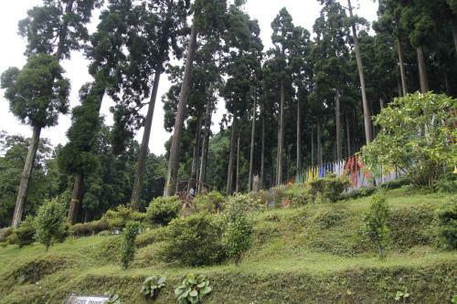 Vamoosetrail Lamahatta