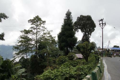 Vamoosetrail Lamahatta