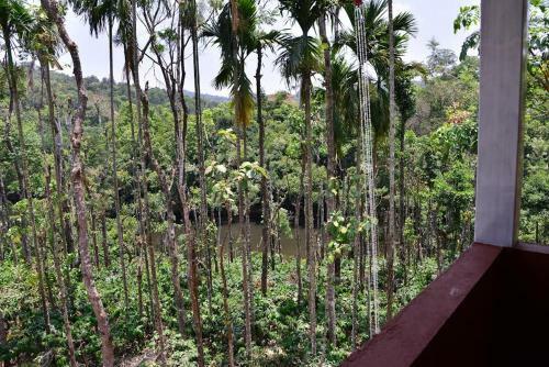 Hotel River Near Coorg