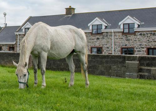 Agroturismo Mill Road Farm Cottages