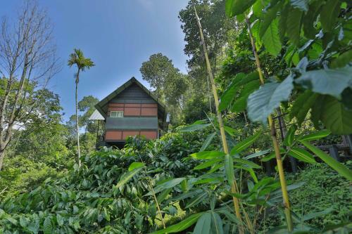 Villa Himmelberg Nature Retreat