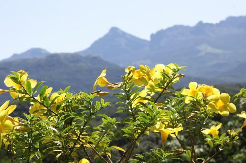 Hotel Bio Veda Ayurvedic Hill Resort