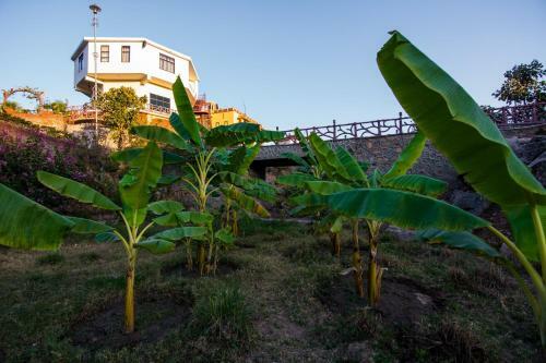 Hotel Lake Alpi Kumbhalgarh