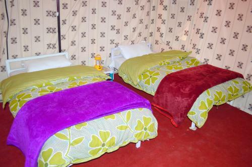 Himalayan Routes Camp Sarchu