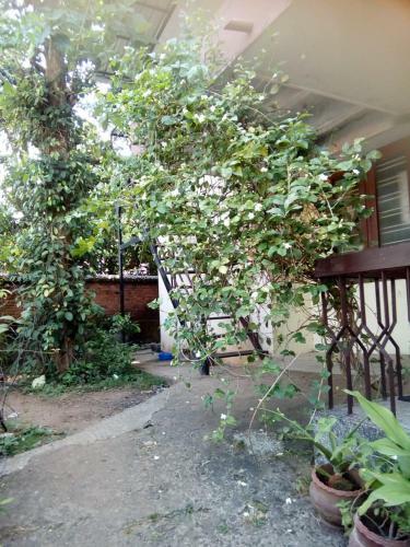 Apartamento Nesma Nivas
