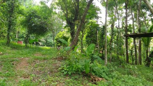 Agroturismo Philip Mary Farm Stay