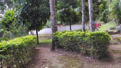 Agroturismo Philip Mary Farm Stay