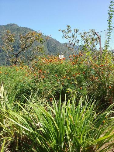 Agroturismo Divine Living Home Stay