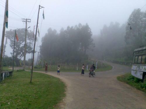 Snow White Holiday Homes