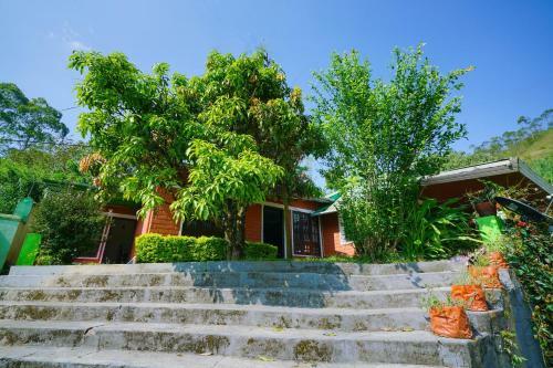 Apartamentos Home Elegant Staymunnar City Munnar