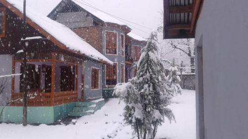 Hotel Paradise Guest House