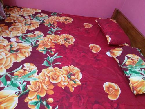 Hostal Shree Hari Guest House
