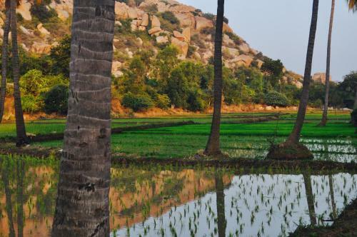 Tutti Hampi Tents & Cafe