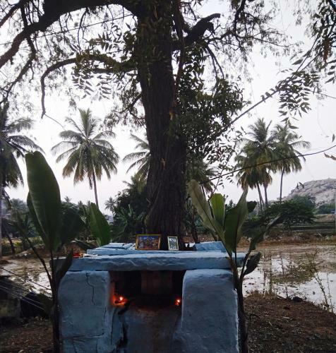 Tutti Hampi Tents & Cafe
