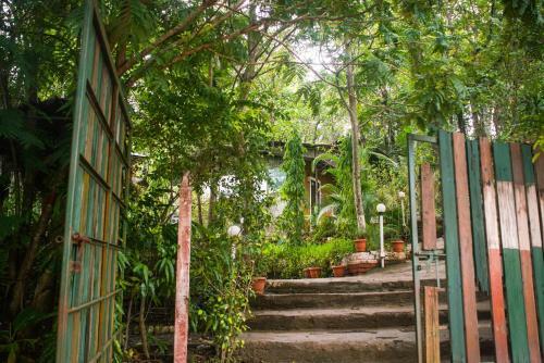 Hotel Dabhosa Waterfall Resort, A Nature Trails Resort