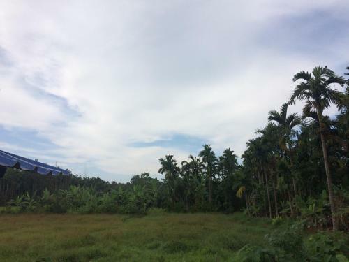 Ibbani Homestay, Siddapur