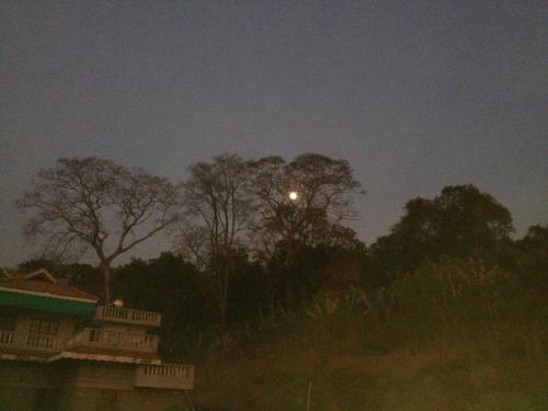 Jadkal Estate And Homestay