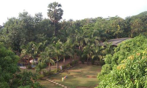Hotel Pali Beach Resort